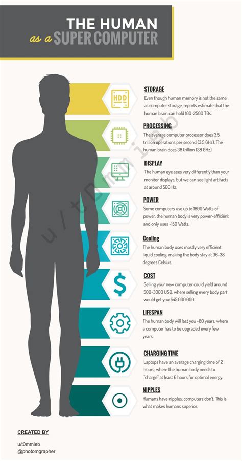COMPUTER PARTS COMPARED TO HUMAN BODY .